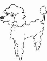 Coloring Poodle Cartoon Printable Dogs Drawing Sketch Categories Template Supercoloring sketch template