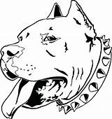 Pitbull Coloring Pages Getdrawings sketch template
