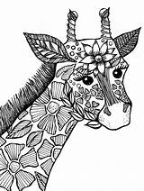 Coloring Adult Book Giraffe Pages sketch template