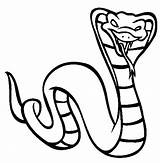 Cobra Snake King Coloring Pages Kids Venomous Drawing Evil Rattlesnake Draw Longest Drawings Color Coral Sheet Getdrawings Clipartbest Clipart Getcolorings sketch template