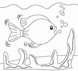 Colorat Pesti Planse Copii Sfatulparintilor Desene Animale Pasari sketch template