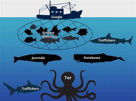 the darknet markets links history softwares myths