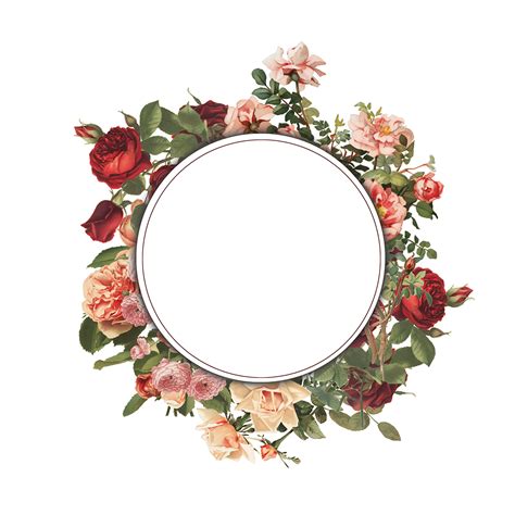 floral frame png image  transparent background  png images