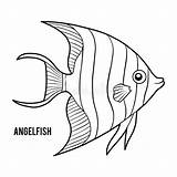 Angelfish Coloring Book Fish Angel Clip Emperor Illustrations Vector Preview sketch template