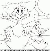 Coloring Chick Hatching sketch template