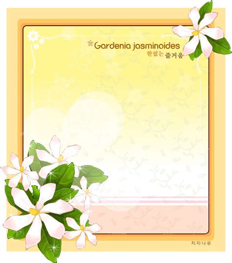 fragrant jasmine flower frame vector free download