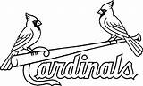 Coloring Louis Pages St Cardinals Cardinal Blues Reds Baseball Cincinnati Logo Printable Drawing Adult Red Mlb Color Bird Line Print sketch template