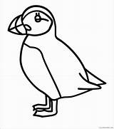 Puffins Coloring4free sketch template