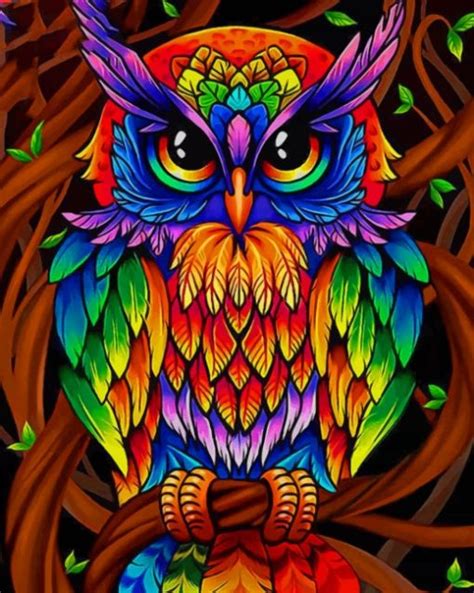 colorful mandala owl birds paint  numbers canvas paint  numbers