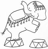 Elefante Circo Numero Cose Crescere sketch template