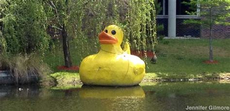 jacksonville fl large floating rubber duck