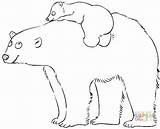 Coloring Bear Pages Polar Cute Baby Mother Getcolorings Choose Board Printable Color Mit sketch template