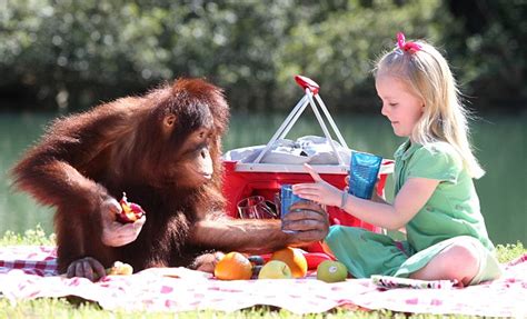 Emily Bland 6 And Best Friend Rishi The Orangutan Are Forced To Say