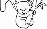 Koala Line Drawing Cute Coloring Pages Bear Colouring Baby Getdrawings Clipartmag sketch template