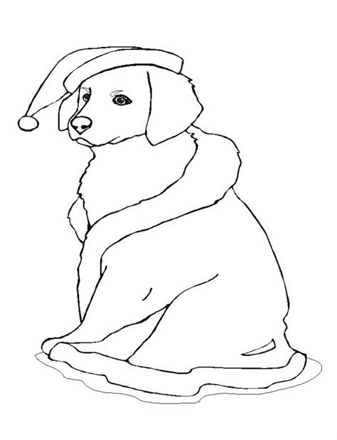christmas dog coloring pages coloring home