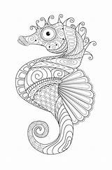 Seahorse Verbnow sketch template