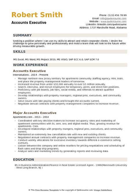 executive resume template accountant resume engineer resume template cv