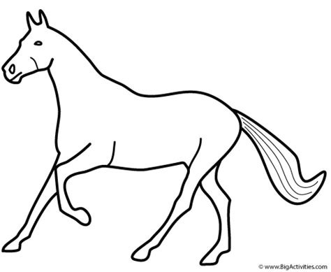 horse galloping coloring page animals