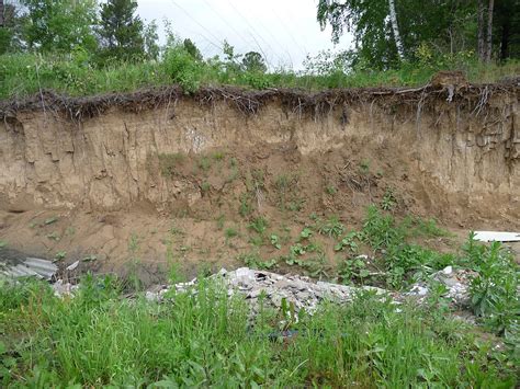 helps stabilize soil  erosion examples  forms