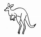 Kangaroo Outline Line Printable Drawing Tree Getdrawings Clipartmag Clip Coloring sketch template