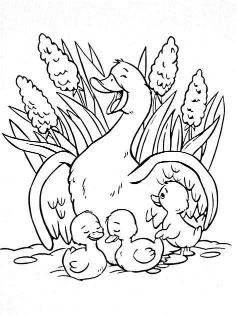 nativity animals coloring pages