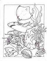 Coloring Ocean Pages Creatures Printable Kids Sea Preschool Underwater Adult sketch template