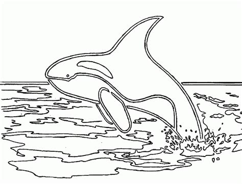 coloring pages  kids   sea coloring pages  kids