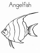 Pages Coloring Angelfish Fish Recommended sketch template