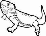 Coloring Reptile Pages Getcolorings Printable sketch template