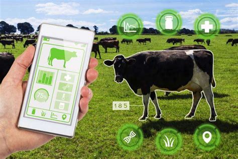 role  iot  promoting livestock health  remote monitoring  data driven decision making