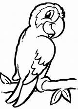 Parrot Coloring Clipart Cartoon Pages Perroquet Color Kids Simple Sheet Children Easy sketch template