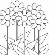 Bunga Putih Mewarnai Sunflowers Daisies Diwarnai Sketsa Inilah Bangkai Raflesia Indah Dari Storey Gerber Disimpan Mawar sketch template
