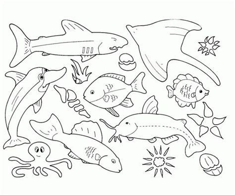 sea animals coloring pages  coloringfoldercom paginas