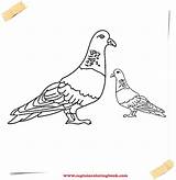 Plus Google Twitter Pigeon Coloring Printable Pages sketch template