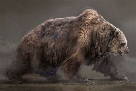 cave bear ursus spelaeus    size   largest