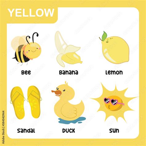 set  yellow color objects primary colours flashcard  yellow