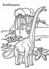 Coloring Dinosaur Pages Kids Brachiosaurus Realistic Dinosaurs Printable Jurassic Park Color Book Colouring Sheets Adult Kid Print Drawing Lego Land sketch template