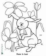 Rabbit Peter Coloring Pages Story Lost Fairy Away Gets He sketch template