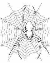 Aranhas sketch template
