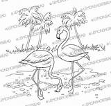 Etsy Digital Tropical Birds Flamingo Flamingoes Digi Stamp Coloring Summer Sold Palm sketch template