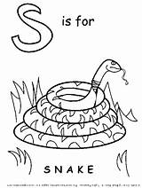 Coloring Pages Snake Cobra 321coloringpages sketch template