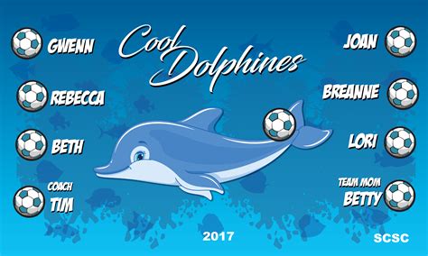 B2293 Cool Dolphins 3x5 Banner B2293