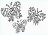 Farfalle Animali Fiori Impariamo Stilizzati Tuttodisegni Adulti Cruciverba Verso Sul Trendmetr Fiore Leggimiancora Tatuaggio sketch template