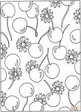 Coloring Cherry Pages Cherries Flowers Printable Blossom Pattern Clipart Popular Categories Styles Similar Library Coloringhome Paper Book sketch template
