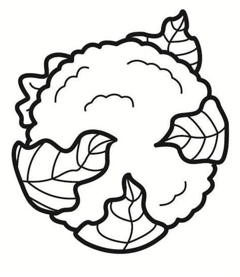 print cauliflower coloring page  printable coloring pages  kids