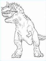 Carnivore Dinosaure sketch template