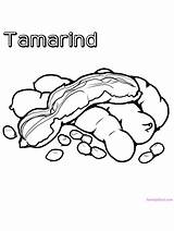 Tamarind sketch template