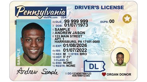 driver licenses photo ids     pennsylvania residents abc philadelphia