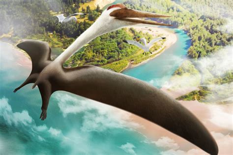 quetzalcoatlus  largest flying animal   time earth archives