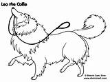 Sheepdog Shetland Sheltie Collie sketch template